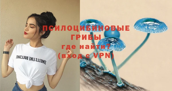 Альфа ПВП Верея