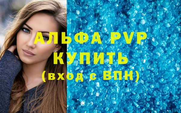 Альфа ПВП Верея