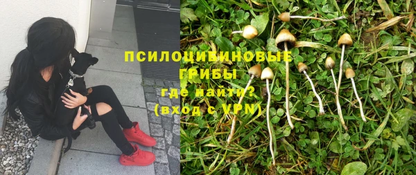 первитин Володарск